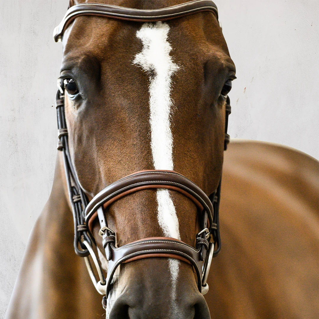 Promo โจ English Bridles PS Of Sweden Paris Bridle ๐ 4 English Bridles PS Of Sweden Paris Bridle