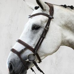 Promo โจ English Bridles PS Of Sweden Paris Bridle ๐ 7 English Bridles PS Of Sweden Paris Bridle