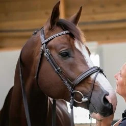 Outlet โญ French Equestrian Penelope Daily Bridle ๐ฏ 9 French Equestrian Penelope Daily Bridle