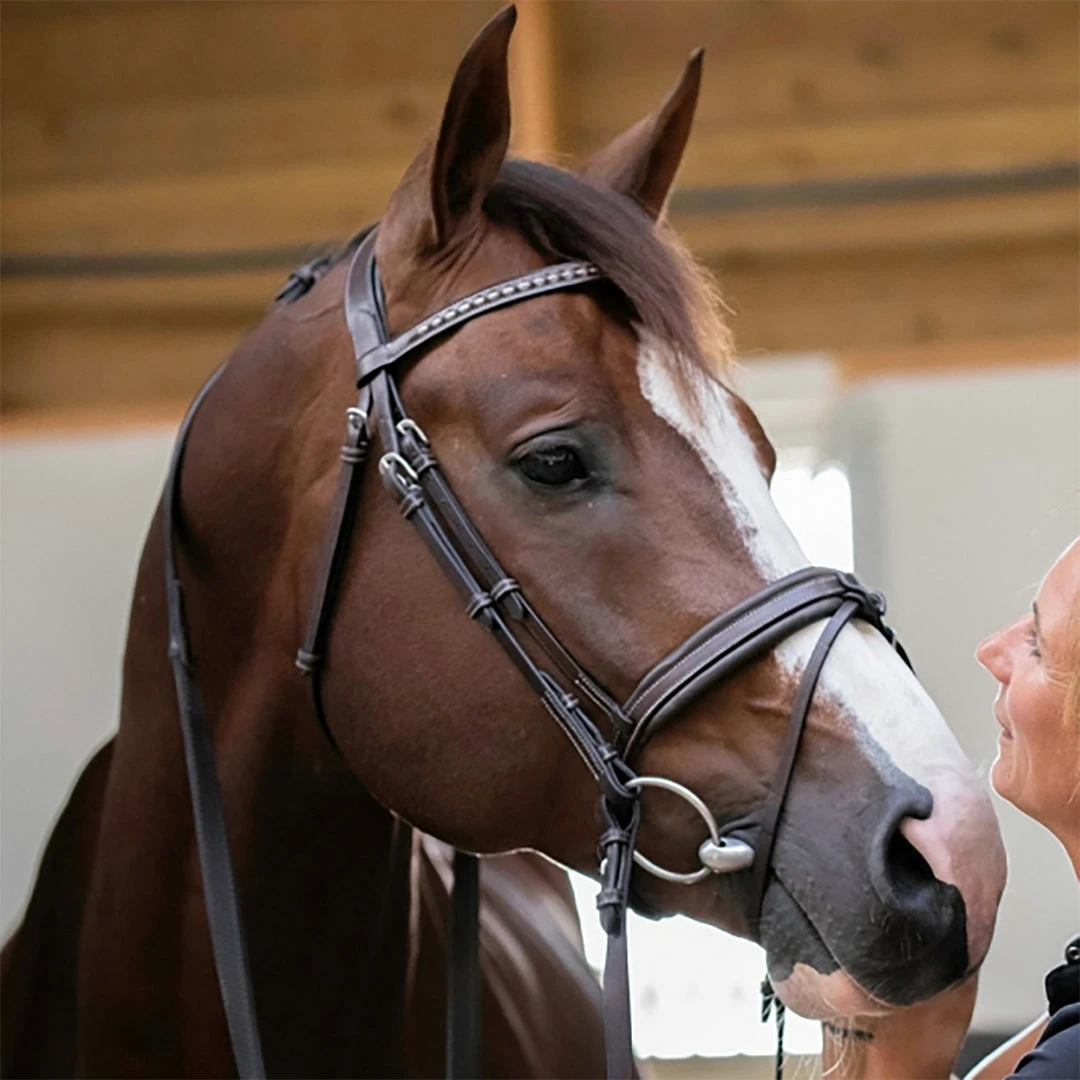 Outlet โญ French Equestrian Penelope Daily Bridle ๐ฏ 6 French Equestrian Penelope Daily Bridle