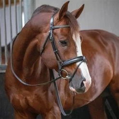 French Equestrian Penelope Daily Bridle
