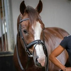 Outlet โญ French Equestrian Penelope Daily Bridle ๐ฏ 8 French Equestrian Penelope Daily Bridle