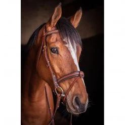 French Equestrian Penelope US Bridle