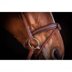 French Equestrian Penelope US Bridle