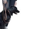 French Equestrian Penelope Leather Dog Leash