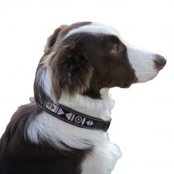 French Equestrian Penelope Pearl Dog Collar
