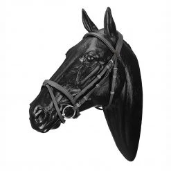 Saddlery Brands International Wintec English Bridle With Flash Noseband English Bridles