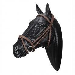 Outlet ❤️ Saddlery Brands International Wintec English Bridle With Flash Noseband English Bridles 👍 7 Saddlery Brands International Wintec English Bridle With Flash Noseband English Bridles