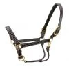 Halters & Leads Walsh Kentucky Halter
