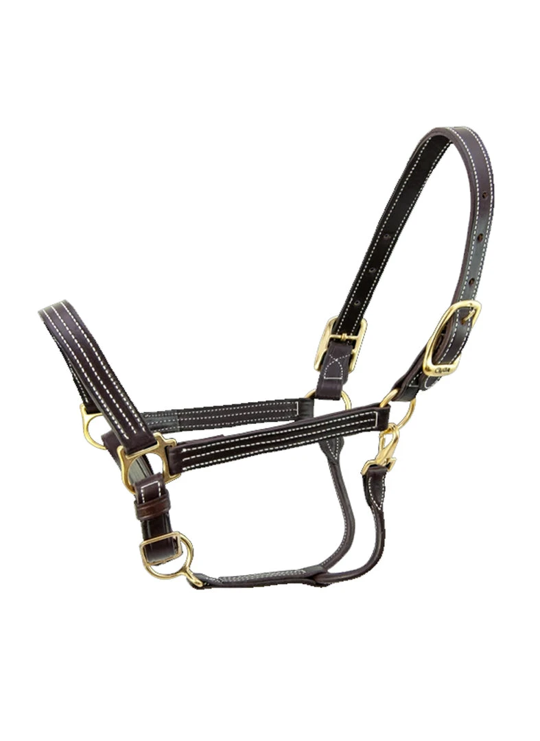 Buy ✔️ Halters & Leads Walsh Kentucky Halter 👏 3 Halters & Leads Walsh Kentucky Halter