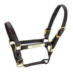 Buy ✔️ Halters & Leads Walsh Kentucky Halter 👏 8 Halters & Leads Walsh Kentucky Halter
