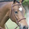 English Riding Supply Pessoa Fancy Wide Noseband Show Bridle W/ Fancy Stitched Laced Reins