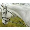 Shires Equestrian Products Avignon De Gogue Training Aid Horse Training Equipment