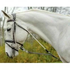 Shires Equestrian Products Avignon De Gogue Training Aid Horse Training Equipment