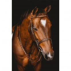 Samshield Arion Hunter Bridle With Fancy Stitching English Bridles