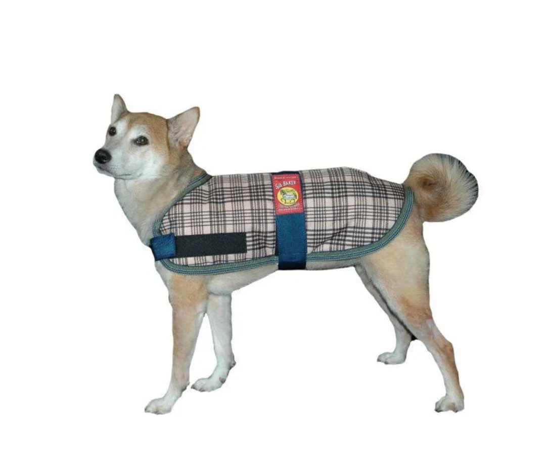 Buy ✨ Jacks Mfg 5/A Baker Dog Blanket ✨ 6 Jacks Mfg 5/A Baker Dog Blanket