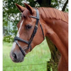 Sagmae Dyon Anatomic Flash Noseband Bridle - D Collection
