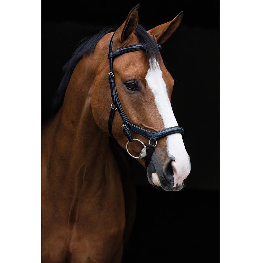 Coupon ๐ Horseware English Bridles Rambo Micklem Deluxe Competition Bridle โจ 5 Horseware English Bridles Rambo Micklem Deluxe Competition Bridle