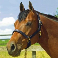 Perri's Leather Perri's 1