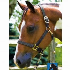 Perri's Leather Perri's 1