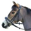Saddlery Brands International Wintec English Bridle With Flash Noseband English Bridles