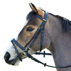 Saddlery Brands International Wintec English Bridle With Flash Noseband English Bridles