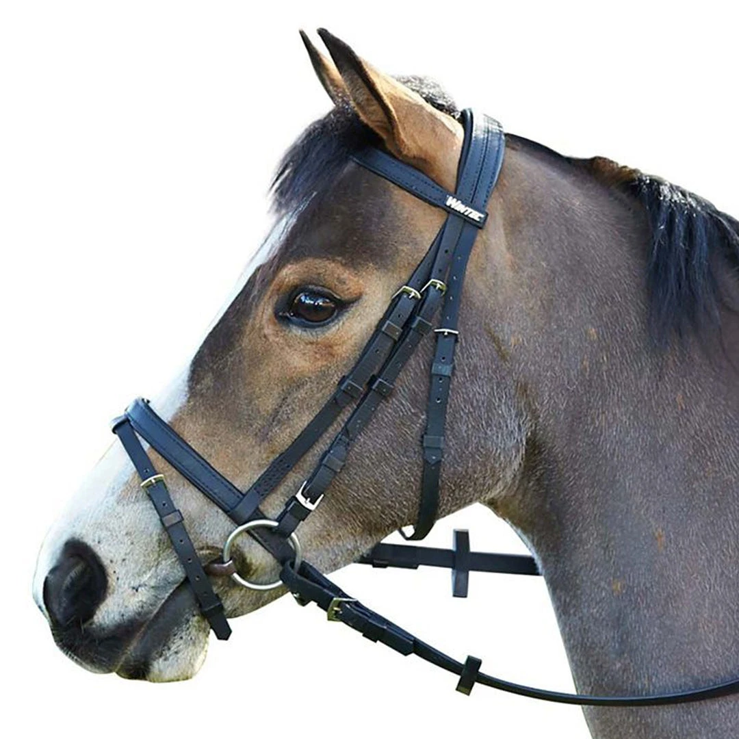 Outlet ❤️ Saddlery Brands International Wintec English Bridle With Flash Noseband English Bridles 👍 3 Saddlery Brands International Wintec English Bridle With Flash Noseband English Bridles