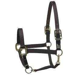 Deals ✨ Perri's Leather Perri's Premium Nylon Safety Halter Halters & Leads 💯 21 Perri's Leather Perri's Premium Nylon Safety Halter Halters & Leads