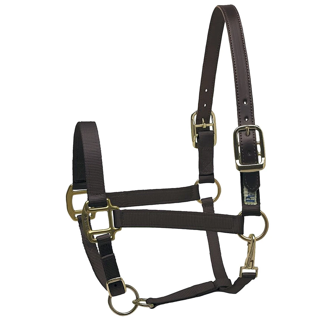 Deals ✨ Perri's Leather Perri's Premium Nylon Safety Halter Halters & Leads 💯 5 Perri's Leather Perri's Premium Nylon Safety Halter Halters & Leads