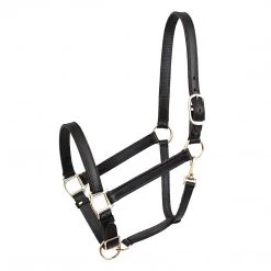 Perri's Leather Turnout Halter Halters & Leads