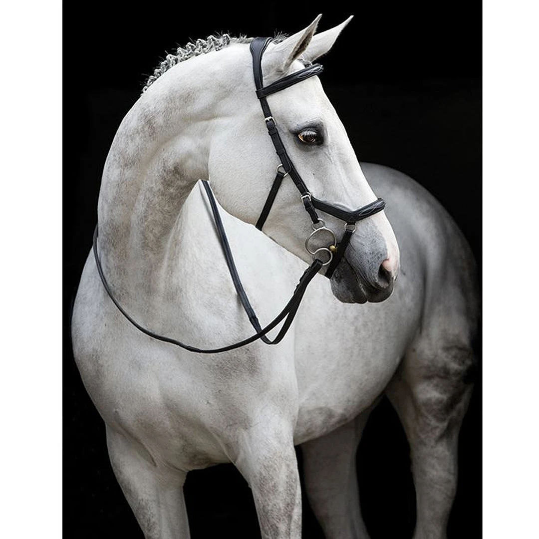 Coupon ๐ Horseware English Bridles Rambo Micklem Deluxe Competition Bridle โจ 4 Horseware English Bridles Rambo Micklem Deluxe Competition Bridle