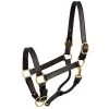 Budget 🛒 Perri's Leather Perri's 1" Leather Show Halter ✔️ 2 Perri's Leather Perri's 1" Leather Show Halter