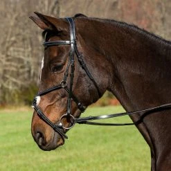 JPC Equestrian English Bridles HDR Pro Mono Crown Raised Figure Eight Bridle With Rubber Reins