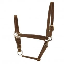 Perri's Leather Turnout Halter Halters & Leads