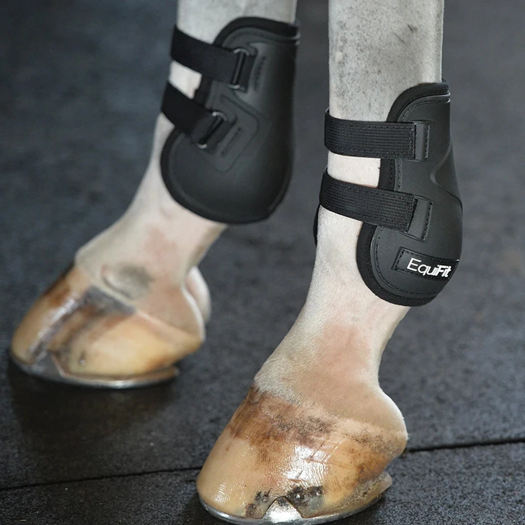 Best reviews of ✔️ EquiFit Prolete Hind Boot 😉 7 EquiFit Prolete Hind Boot