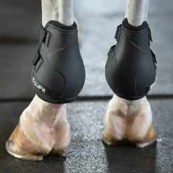 Best reviews of ✔️ EquiFit Prolete Hind Boot 😉 11 EquiFit Prolete Hind Boot