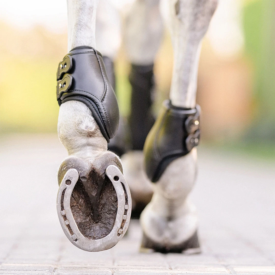 Discount 👍 EquiFit Eq-Teq Hind Boot 🤩 9 EquiFit Eq-Teq Hind Boot