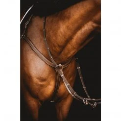 Samshield Arion Anatomic 3 Point Breastplate