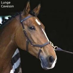 English Bridles Horseware Rambo Micklem Multibridle