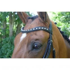 English Bridles Red Barn By KL Select Stride Dressage Bridle