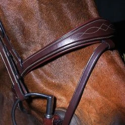 Sagmae Dyon Anatomic Flash Noseband Bridle - D Collection