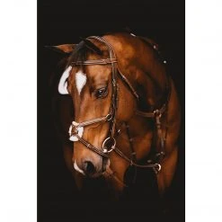 Samshield English Bridles Arion Anatomic Figure 8 Noseband Bridle