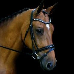 English Bridles Red Barn By KL Select Stride Dressage Bridle