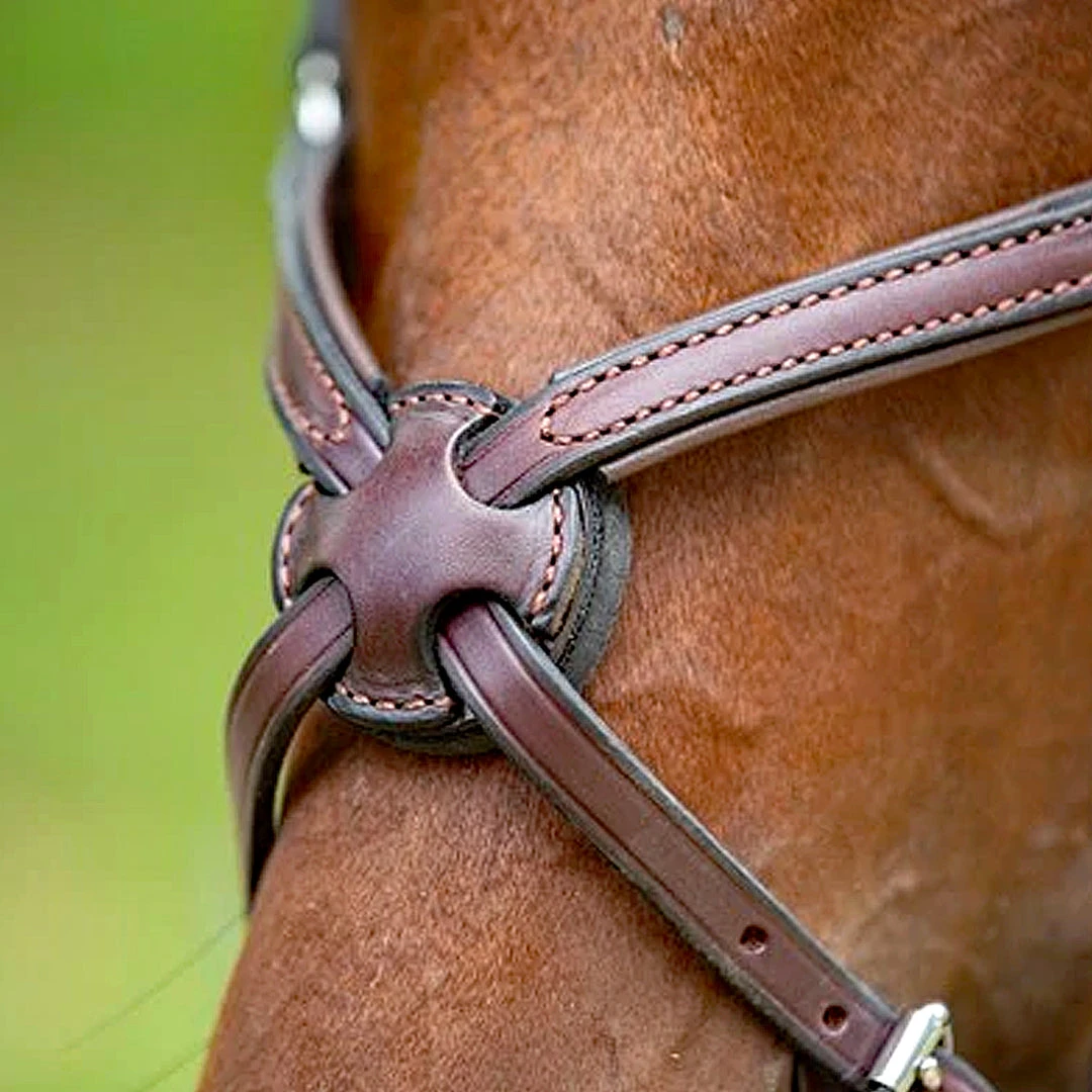 Best Pirce ✨ English Bridles Nunn Finer Figure Eight Bridle ❤️ 6 English Bridles Nunn Finer Figure Eight Bridle