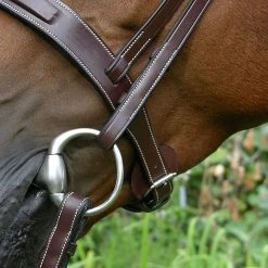 New ⭐ Sagmae Dy'on Fancy Stitch Wide Noseband Bridle English Bridles 🔥 11 Sagmae Dy'on Fancy Stitch Wide Noseband Bridle English Bridles