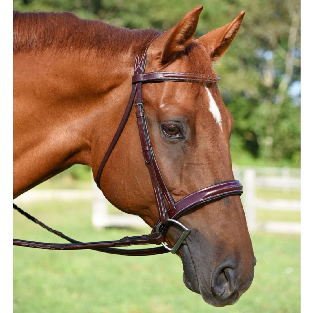 Flash Sale ❤️ English Bridles KL Select Italia Tuscany Hunter Bridle 🔥 4 English Bridles KL Select Italia Tuscany Hunter Bridle