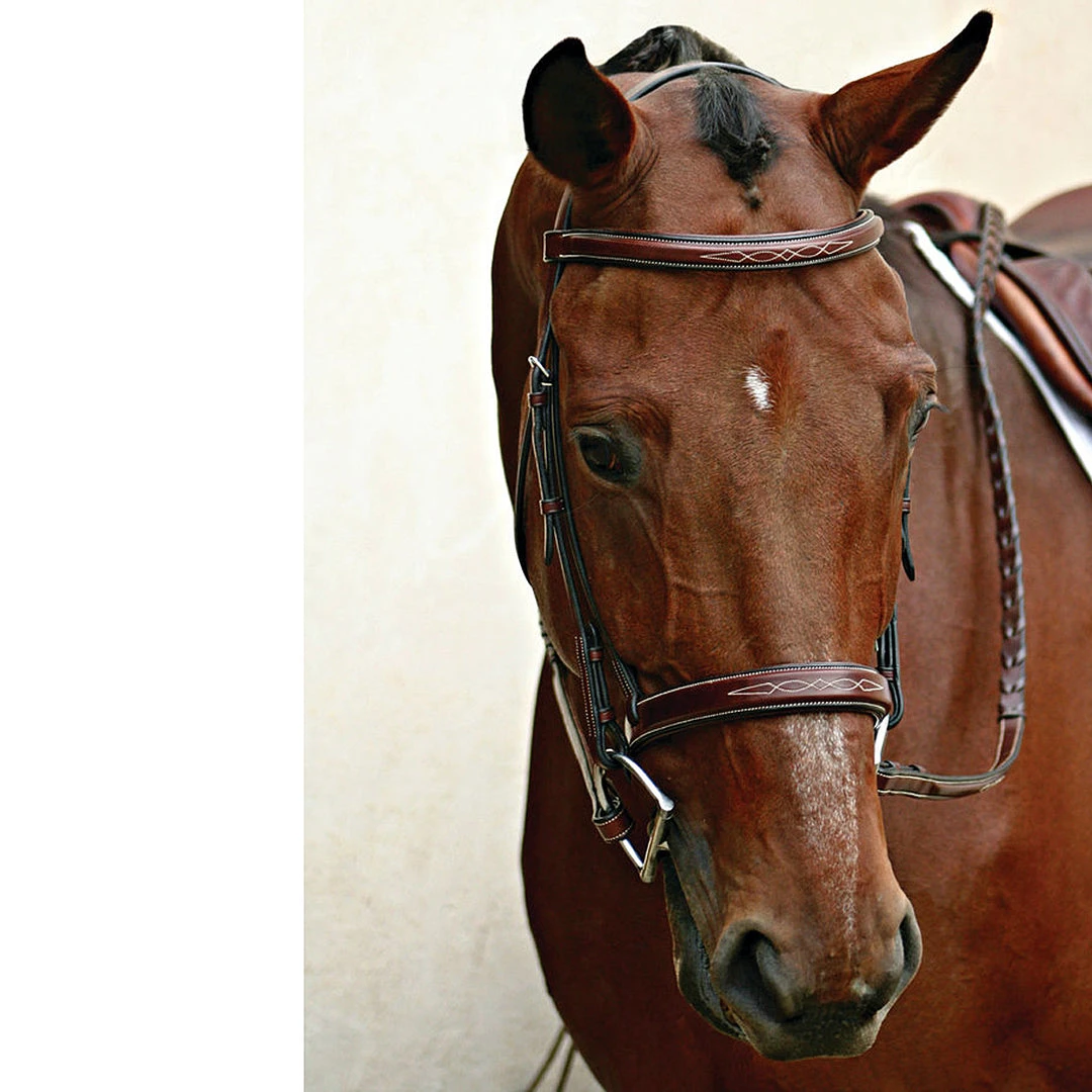 Budget ๐ English Bridles Nunn Finer Caterina Hunter Bridle ๐งจ 7 English Bridles Nunn Finer Caterina Hunter Bridle
