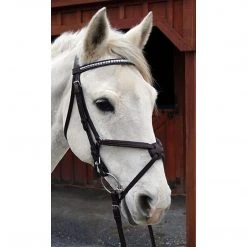 Best Pirce ✨ English Bridles Nunn Finer Figure Eight Bridle ❤️ 12 English Bridles Nunn Finer Figure Eight Bridle