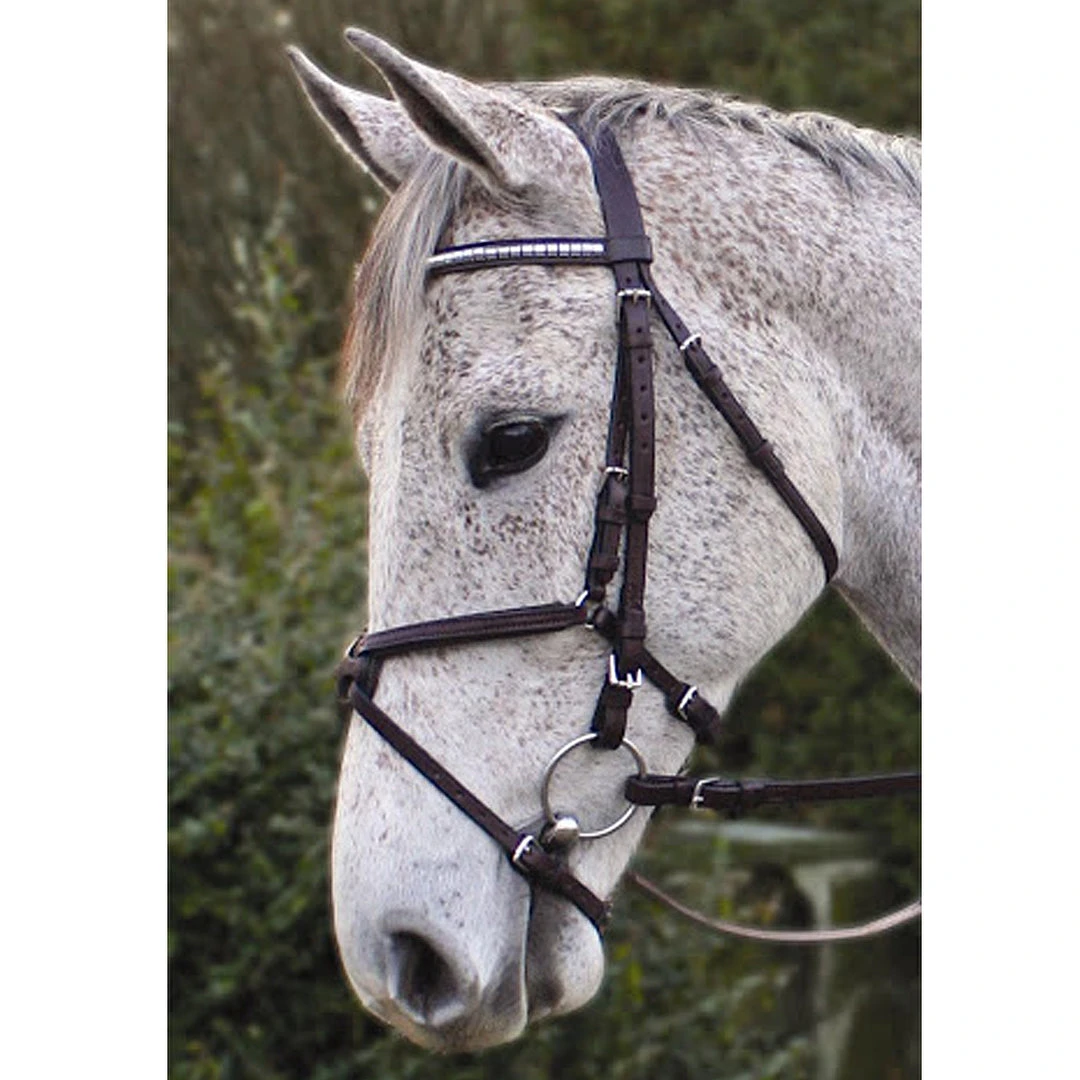 Best Sale 🥰 Nunn Finer Padded Figure 8 Noseband With Interchangeable Button Pieces English Bridles 🧨 6 Nunn Finer Padded Figure 8 Noseband With Interchangeable Button Pieces English Bridles