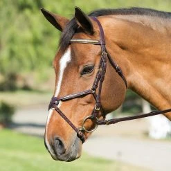 Best Sale 🥰 Nunn Finer Padded Figure 8 Noseband With Interchangeable Button Pieces English Bridles 🧨 13 Nunn Finer Padded Figure 8 Noseband With Interchangeable Button Pieces English Bridles